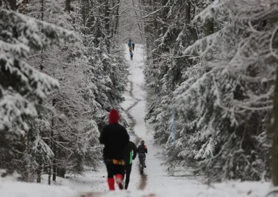 Łódzkie Biegi Górskie 2018-2019