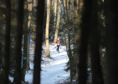 Łódzkie Biegi Górskie 2018-2019